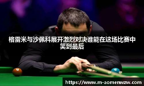 王中王资料