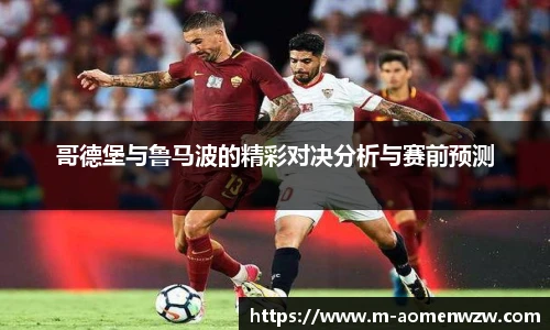 王中王资料大全