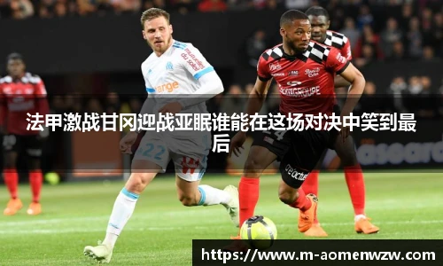 王中王资料