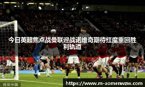 王中王官网资料